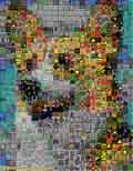 A Dog from 7000 win icons