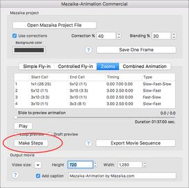 Select Zooms tab and press Make Steps button.