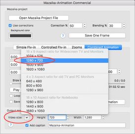Select output movie resolution.