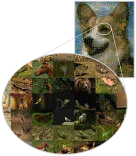 Mazaika image of a dog.
Eye area enlarged.
