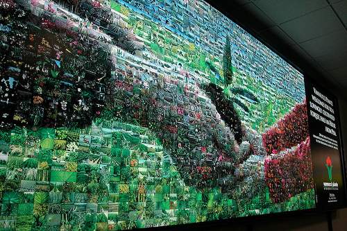 Large vinyl print mosaic (6x2 meters)
located at the Airport of PISA, in Italy.
&copy; LcSdesign