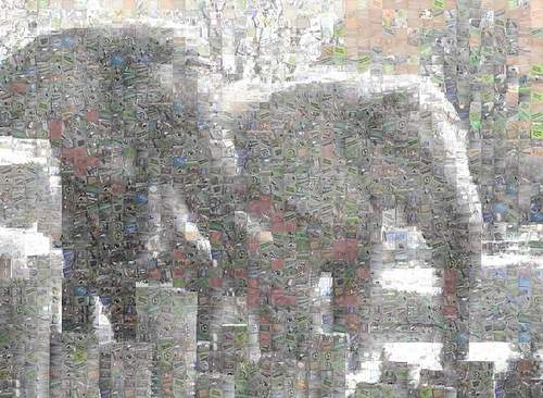 Two elephants at the Chicago Brookfield Zoo photo by Rick Miklos