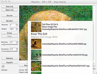 Main image popup menu
