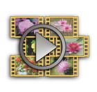 MZVClp Viewer application.