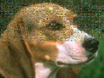 Mosaic all.
