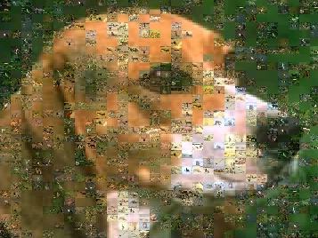 Random mosaic.