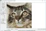 Mazaika for Windows