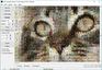 Mazaika for Windows