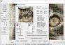 Mazaika for Windows