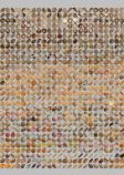 740 original seashells photos. Object Collection for Photo Jumble.